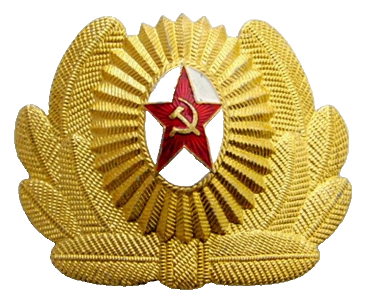 Soviet Russian Army Officer Visor Cap Hat Badge Cockade Original USSR