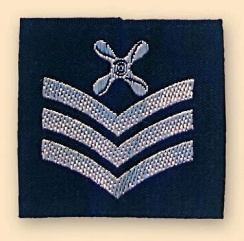 Official Chief Technician Royal Air Force Rank Slides  RAF New