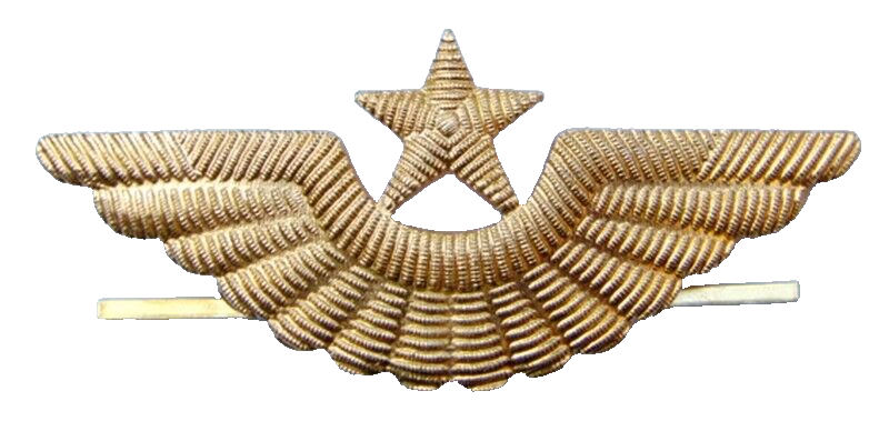 Original USSR Russian Air Force Officer Visor Cap Hat Badge Pin Soviet Union